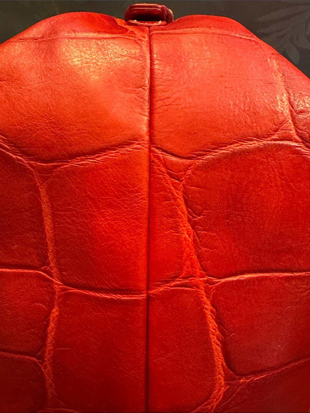 Dooney & Bourke Red Croc-Embossed Leather Shoulder Bag with Gold Hardware - Picture 5 of 14